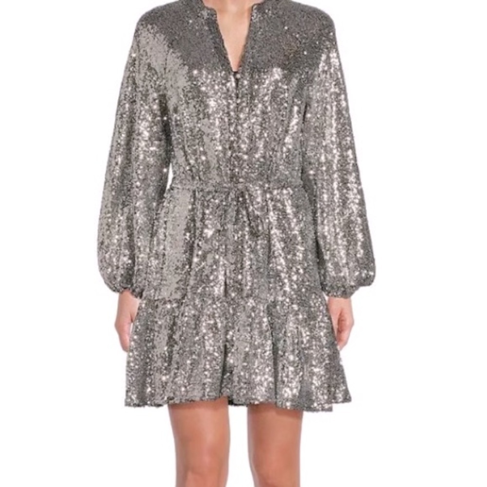 Alex Marie Shimmering Silver‎ sequin dress 10